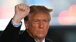 Anh&ouml;rung im Verleumdungsprozess gegen Ex-US-Pr&auml;sident Trump vertagt