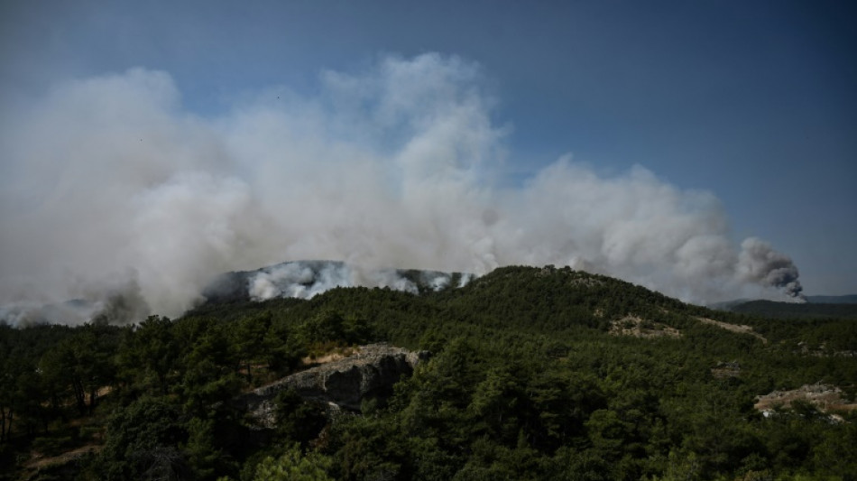 Grecia enfrenta el "incendio m&aacute;s grande del que se tenga registro en la UE"