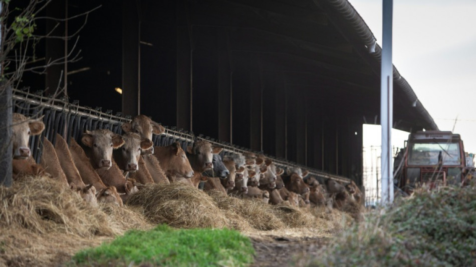 Dermatose: les syndicats proposent un protocole expérimental, nouveau cas dans les Hautes-Pyrénées
