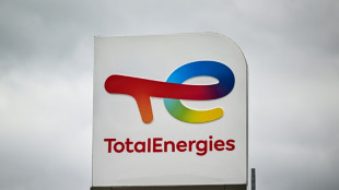 Espa&ntilde;a autoriza a TotalEnergies a desarrollar 48 parques fotovoltaicos