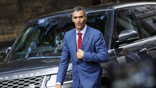 Sanchez, 'solidarietà della Spagna alla Flotilla da applaudire'