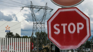 A Fessenheim, le d&eacute;mant&egrave;lement de l'ancienne centrale nucl&eacute;aire se pr&eacute;pare