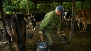 Cuba debate en el Parlamento la baja producci&oacute;n de alimentos