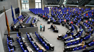 AfD scheitert erneut mit Vorsto&szlig; zur Abwahl von Bundestags-Vize Pau