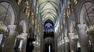R&eacute;ouverture de Notre-Dame: un message du pape s'ajoute au programme des c&eacute;l&eacute;brations