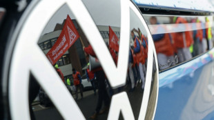 Volkswagen boss braces German workers for more job cuts