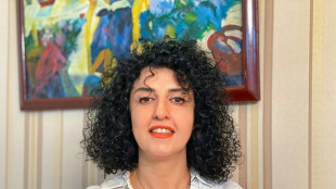 Nobel da Paz iraniana teria sofrido infarto, advertem apoiadores