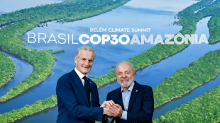 Norwegen stellt bei Klimagipfel Milliarden für neuen Waldschutz-Fonds in Aussicht