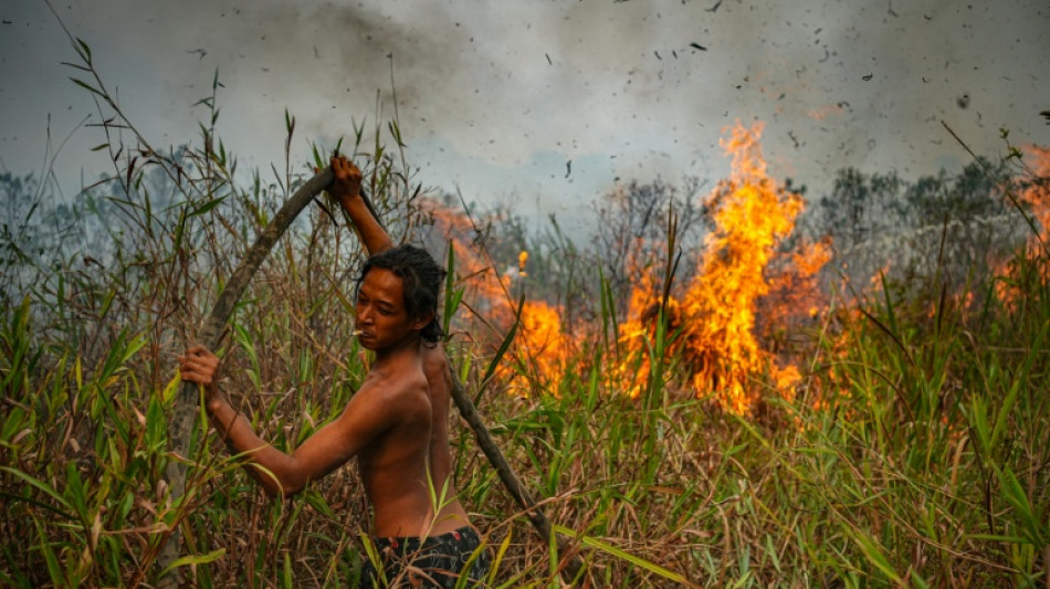 The wildfires choking Indonesia, sparking regional haze