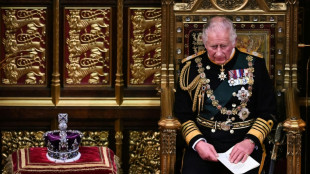 UK's Sunak makes pre-election pitch in first King's Speech since 1951