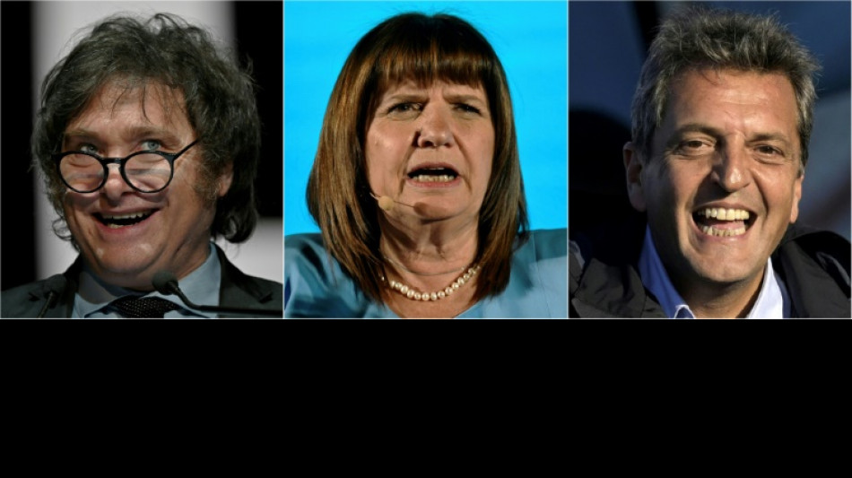 Argentines to vote, seeking escape from economic shambles