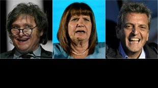 Argentines vote, seeking elixir for economic ills