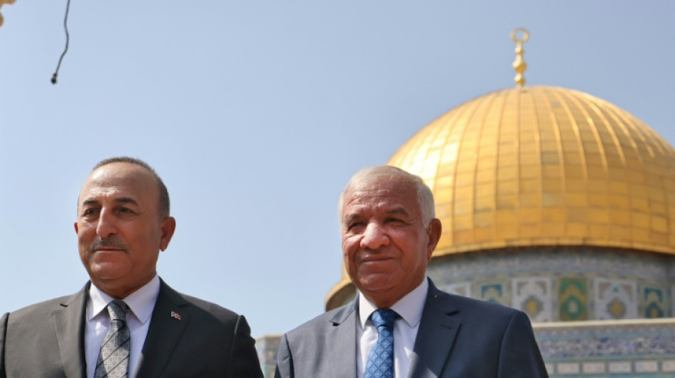 El acercamiento entre Israel y Turqu&iacute;a puede ayudar a los palestinos, seg&uacute;n un ministro turco