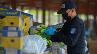 Rusia proh&iacute;be la importaci&oacute;n de bananas de Ecuador