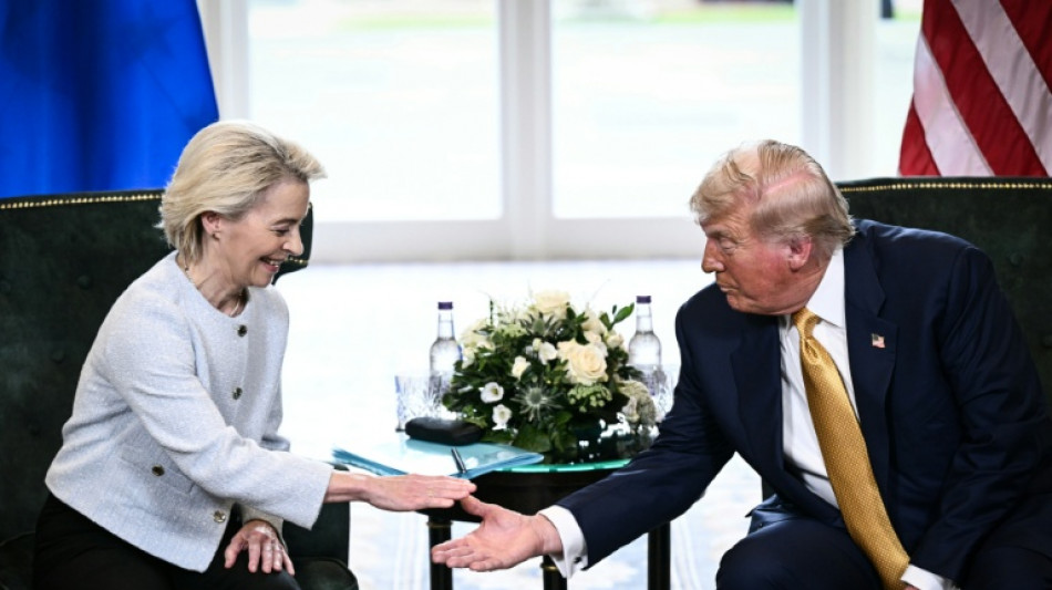 Tout en diversifiant ses alliances, l'UE veut pr&eacute;server son accord commercial avec Trump