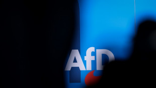 Nach S&ouml;ders Vorsto&szlig;: SPD und Gr&uuml;ne halten Finanz-Streichung f&uuml;r AfD f&uuml;r denkbar