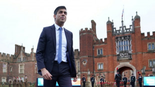 UK announces almost &pound;30 bn of private investment at CEO summit