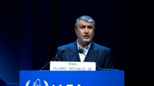 Inspectores del OIEA llegan a Ir&aacute;n para "aclarar ambig&uuml;edades"