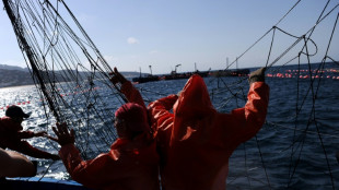Finaliza b&uacute;squeda de sobrevivientes del naufragio de un pesquero espa&ntilde;ol en aguas de Canad&aacute; 