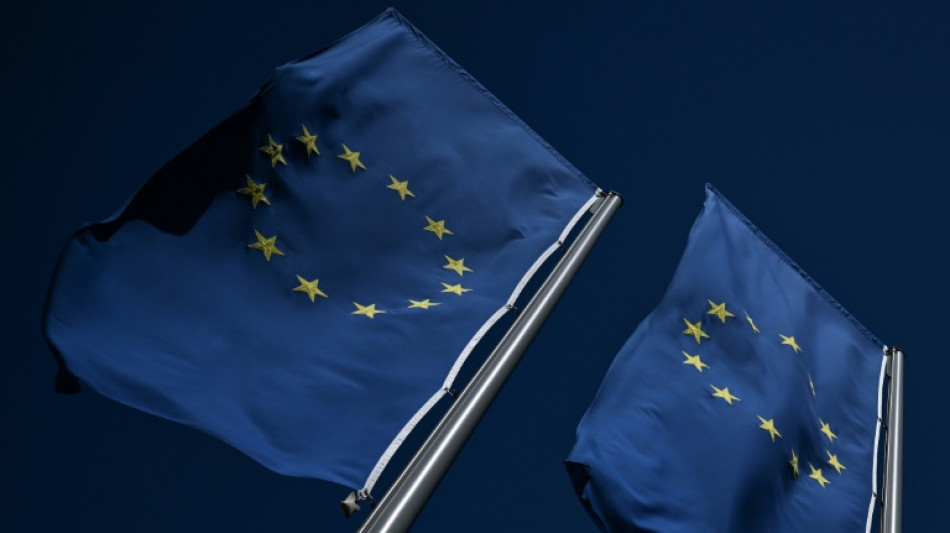 Irish slump drags eurozone economy into red