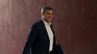 S&ouml;der: CSU ist gegen AfD-Verbotsverfahren