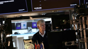 Wall Street marque le pas, attend les résultats d'entreprises