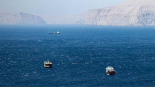 Agenzia Gb, 'almeno tre le navi colpite oggi nello Stretto di Hormuz'
