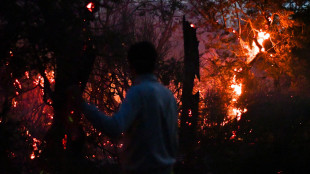 Argentina, bruciati oltre 60mila ettari in Patagonia