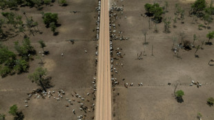 El motor agrícola de Bolivia espera el cambio de gobierno para reactivar la marcha