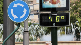 In Europa 63mila morti per il caldo nel 2024,Italia al 1/o posto