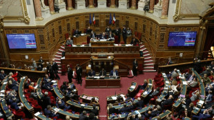 Budget: le S&eacute;nat s'oppose &agrave; la surtaxe sur les entreprises