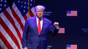 Actriz porno se re&uacute;ne con fiscales por investigaci&oacute;n contra Trump (abogado)