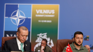 Erdogan dice que Putin "est&aacute; de acuerdo" para prolongar el pacto de exportaci&oacute;n de cereales