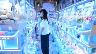 A Hong Kong, les autorit&eacute;s veulent desserrer l'emprise des machines a pince