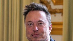 Intelligence artificielle, Tesla: Musk rencontre Macron &agrave; Paris avant de faire le show au salon VivaTech