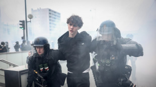 Police made 1,314 arrests in France's protests: government
