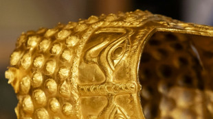 Lange Haftstrafen f&uuml;r Goldhelm-Diebstahl aus Museum in Niederlanden gefordert