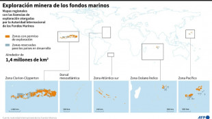 Un tesoro biol&oacute;gico ignorado puebla los grandes fondos marinos codiciados por la extracci&oacute;n minera