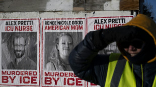 Trump brands Minneapolis nurse killed by federal agents an 'agitator'