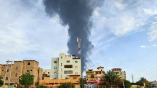 Entra en vigor el cese el fuego en Sud&aacute;n en medio del escepticismo de los civiles