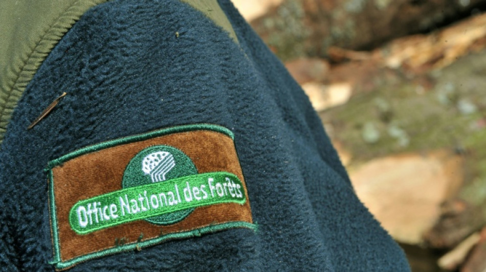 Enqu&ecirc;te sur le m&eacute;ga-feu des Corbi&egrave;res: les agents de l'ONF "sous le choc"