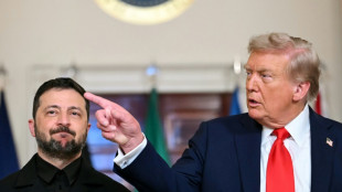 Nach Ukraine-Gipfel im Weißen Haus: Trump bereitet Treffen zwischen Putin und Selenskyj vor
