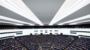 Auch BSW und Dava: 35 Parteien und Gruppen f&uuml;r Teilnahme an EU-Wahl zugelassen