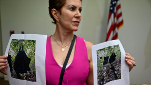 Trump atribui suposta tentativa de assassinato a 'ret&oacute;rica' de Biden e Kamala