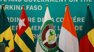 W.Africa military chiefs to discuss Niger crisis this week