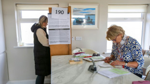 Comienza el recuento de votos del refer&eacute;ndum para modernizar la Constituci&oacute;n irlandesa