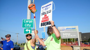 Striking Boeing defense workers turn to US Congress 