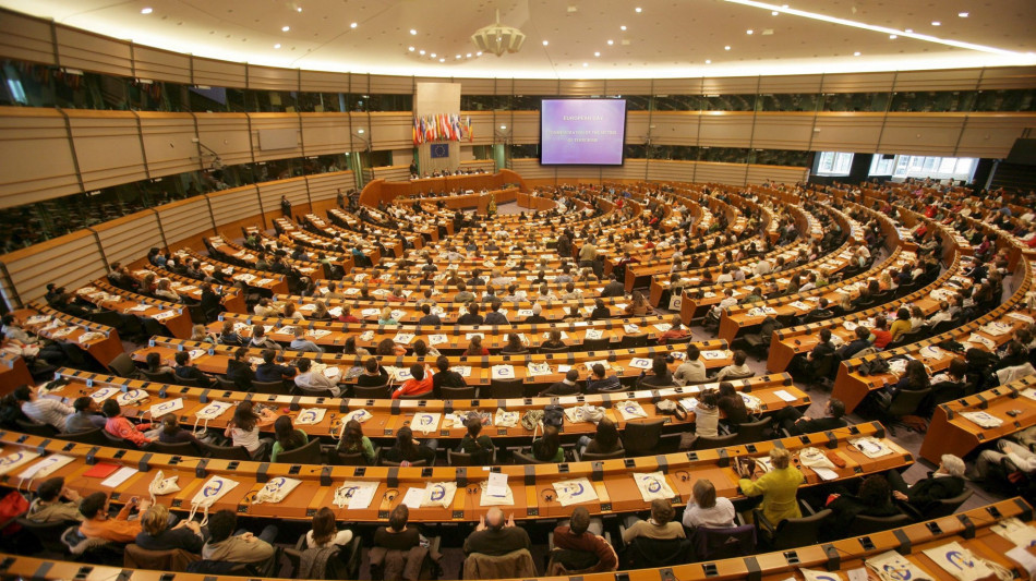 Via libera del Pe alle clausole di salvaguardia per il Mercosur