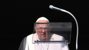 El papa urge a los pol&iacute;ticos de L&iacute;bano a elegir a un presidente "inmediatamente"