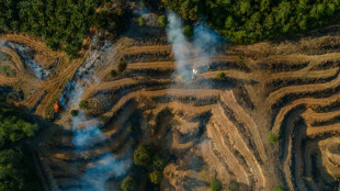 Indon&eacute;sie: des entreprises soup&ccedil;onn&eacute;es de fraude ont fourni des producteurs europ&eacute;ens de biocarburant